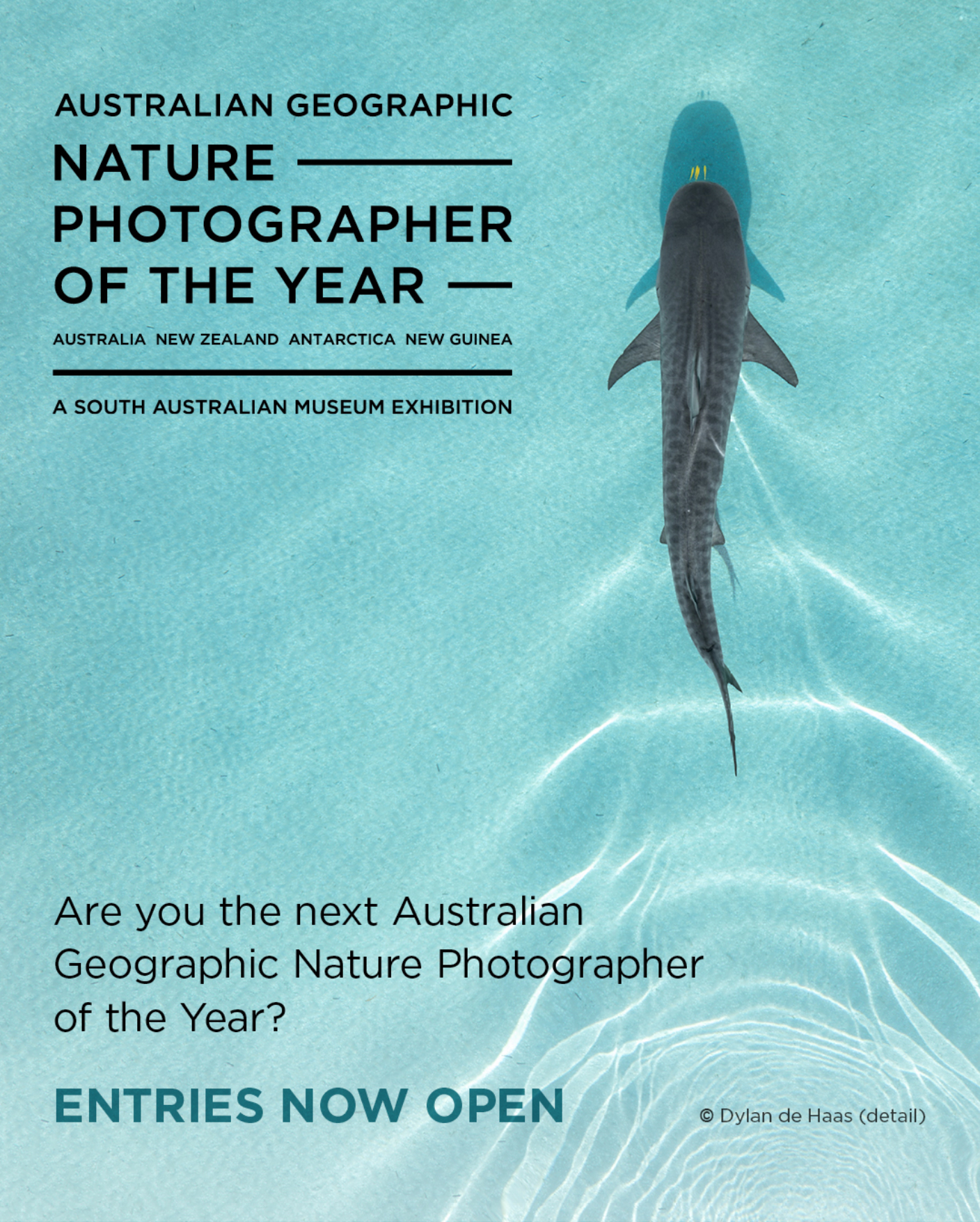 Promotional poster for the Australian Geographic Nature Photographer of the Year exhibition, featuring a shark swimming in clear water