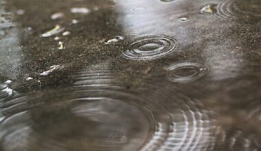 Up to 5cm rain and thunderstorms could hit Brighton and Hove tomorrow night, Met Office warns