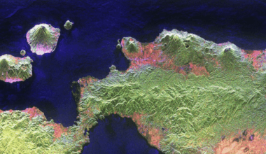 Satellite Provides Unprecedented View Of Earth’s Carbon Rich Ecosystems