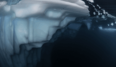 Scientists Discover Hidden Giant Beneath Antarctica’s Ice A 175 Million Year Old Geological Revelation