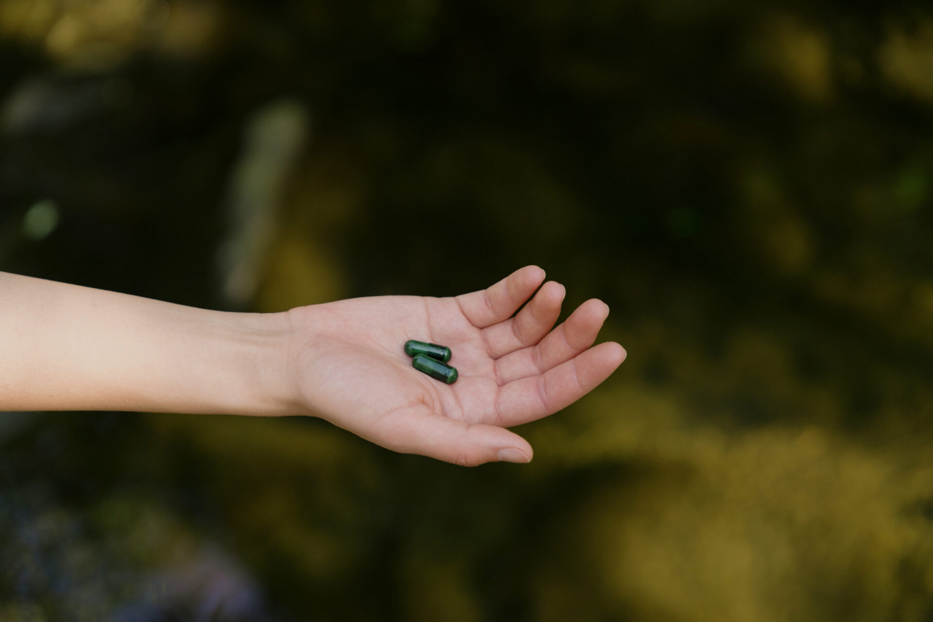 Seed DS-01 Synbiotic being held in hand in dark