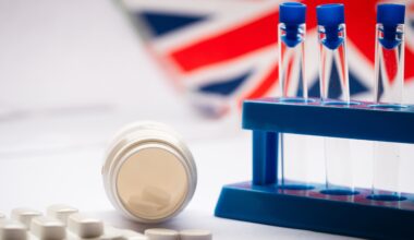 what the UK’s new strategy means