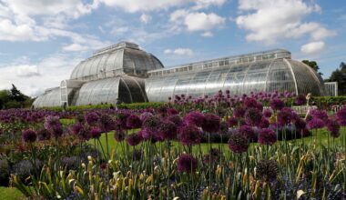 The highest temperature of 2026 so far was recorded at Kew Gardens in London. Pic: Reuters