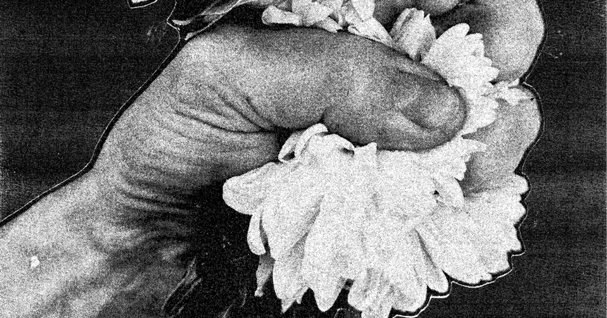 Album review: Softcult – When A Flower Doesn’t Grow