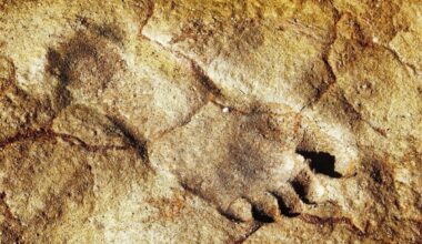 These Chilling Fossil Footprints Show Exactly How Early Humans Crossed Arabia