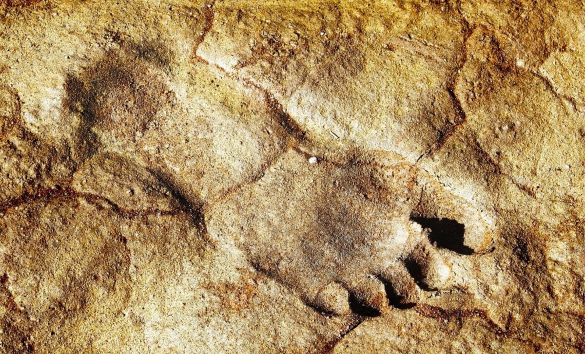 These Chilling Fossil Footprints Show Exactly How Early Humans Crossed Arabia