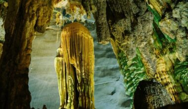 This Strange “giant” Crustacean Shocked Researchers