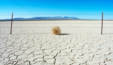 PCs, phones to get more boring, expensive in 2026 • The Register