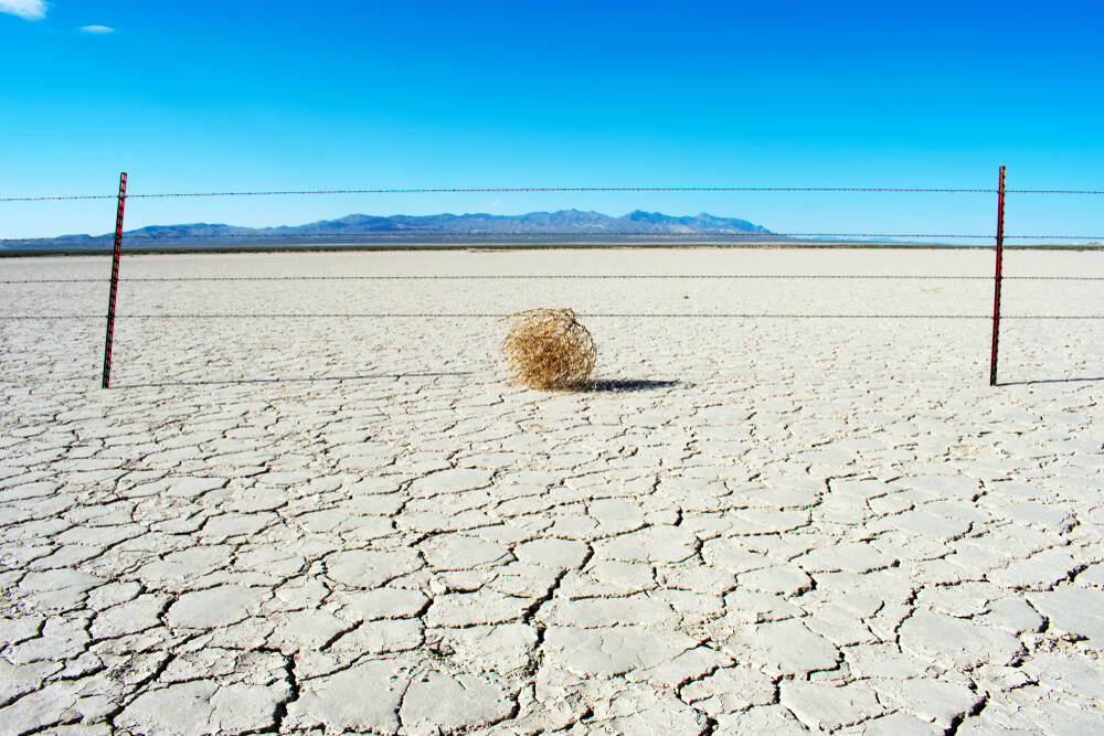 PCs, phones to get more boring, expensive in 2026 • The Register