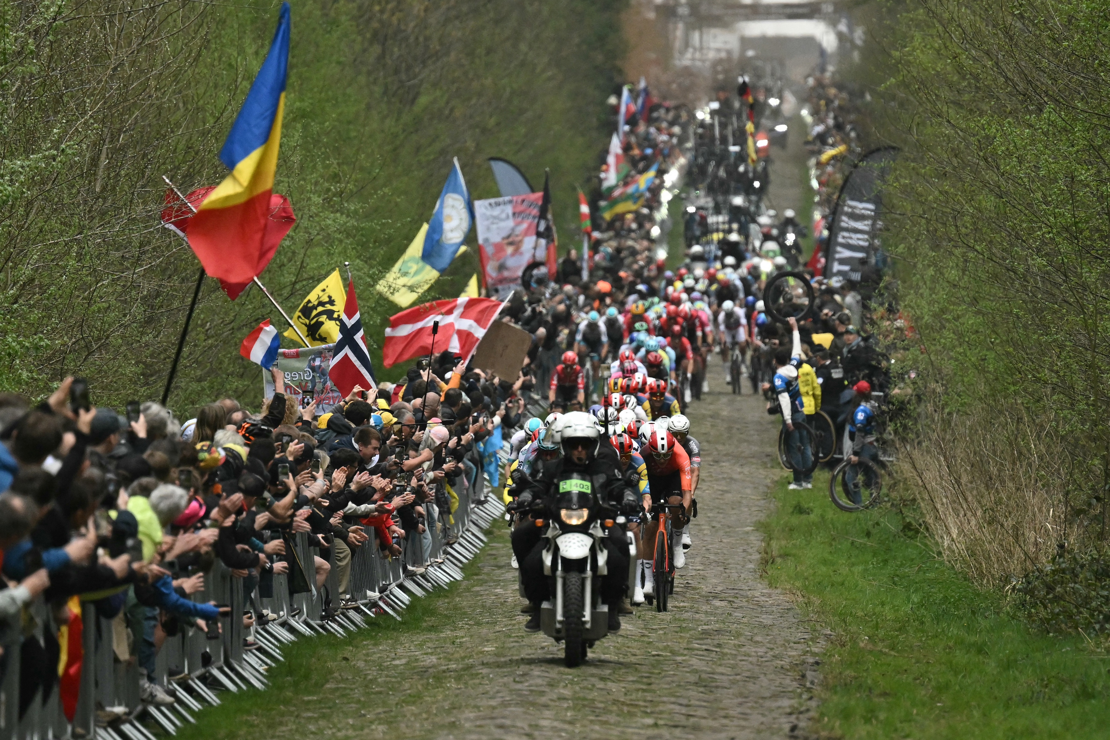 Riders in Paris-Roubaix 2025 ride through the Arenberg Forest