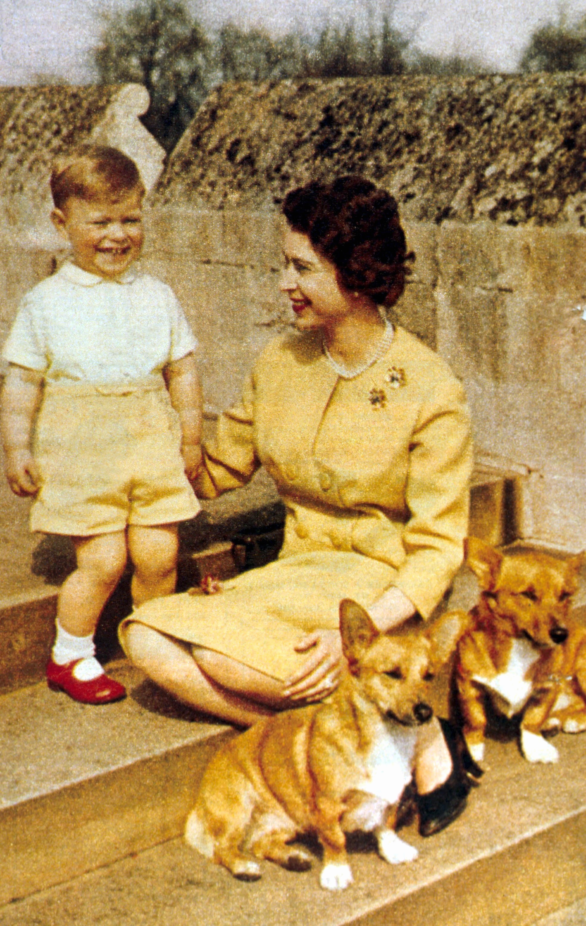 Queen Elizabeth II with Prince Andrew and her two corgis in a garden.
