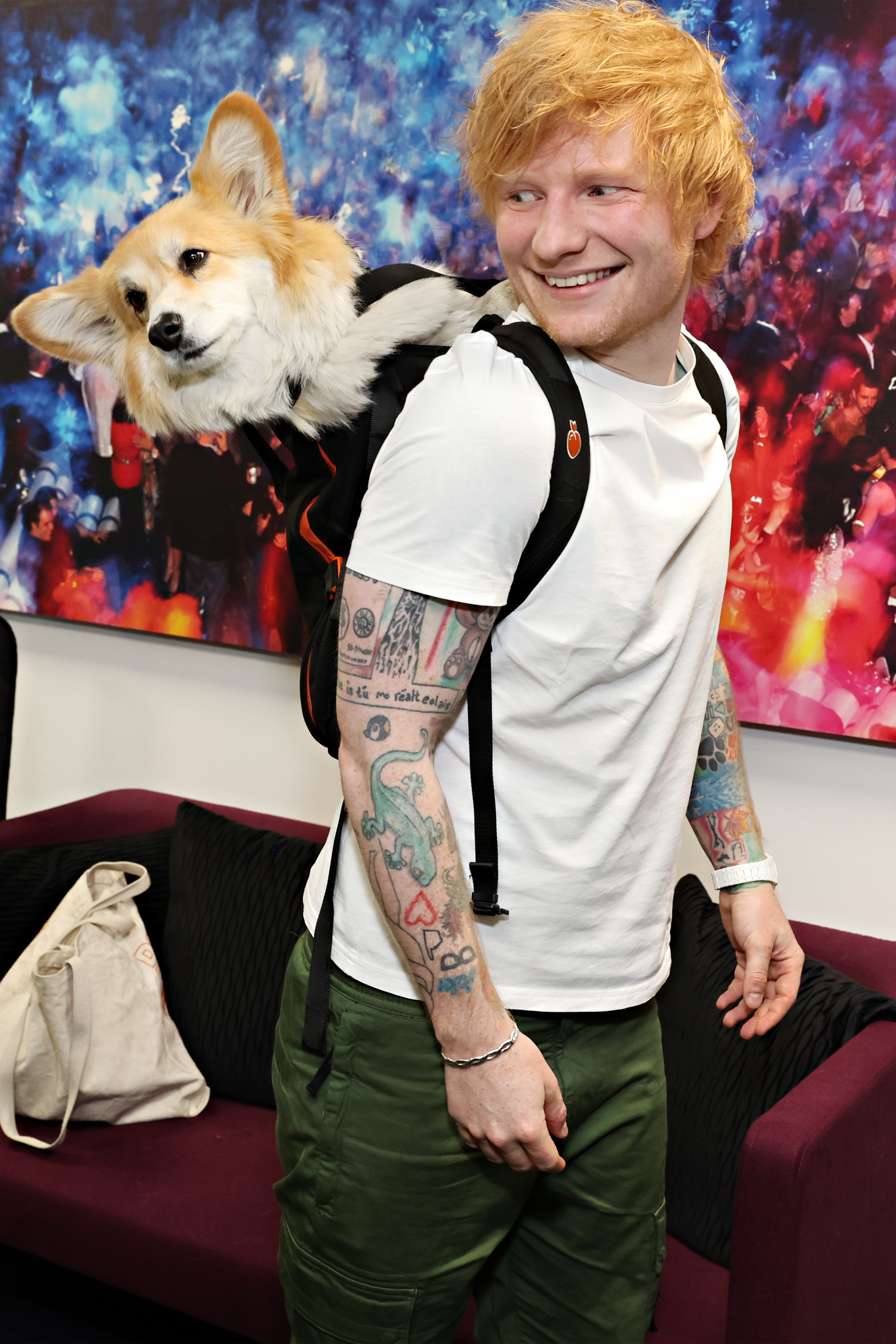 Ed Sheeran smiling with Maxine the Fluffy Corgi looking out from a backpack.