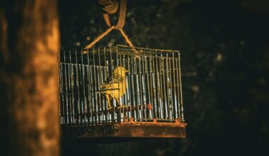 Escaping the Tragedy of the Separating Mind