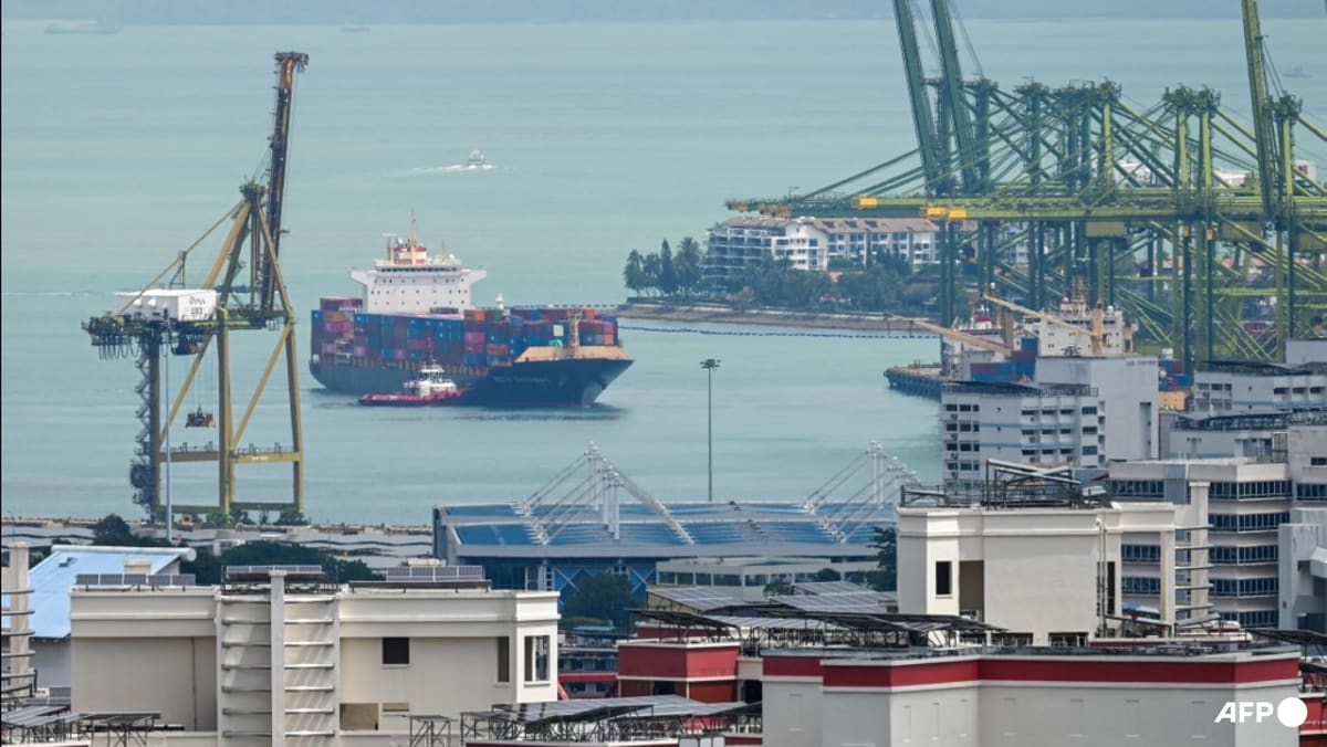 Singapore disputes US trade surplus claim, says it ran deficit in 2024 amid new probe over unfair trade