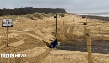A landscape image of a beach with lots of sand and the ends of three large pipes coming out from underneath. The sea is in the distance to the right of the image and on the left there are trees and buses.