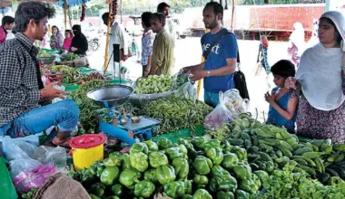 40pc people see Pakistan’s progress on right track: report - Pakistan