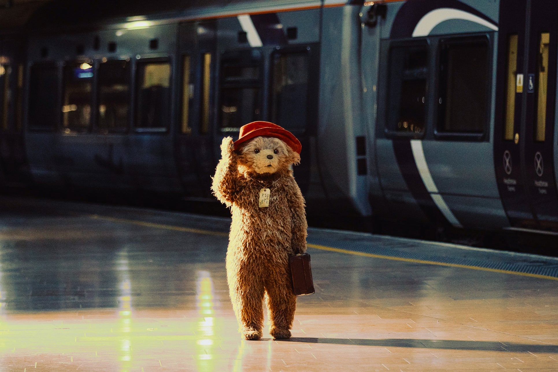 A bear in for a big night: ‘Paddington’ leads with 11 nominations