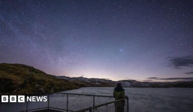 Picture of Lando Norris, Alexandra Saint Mleux, Lisa, Lewis Hamilton, Serena Williams, Charles Leclerc and Kim Kardashian
