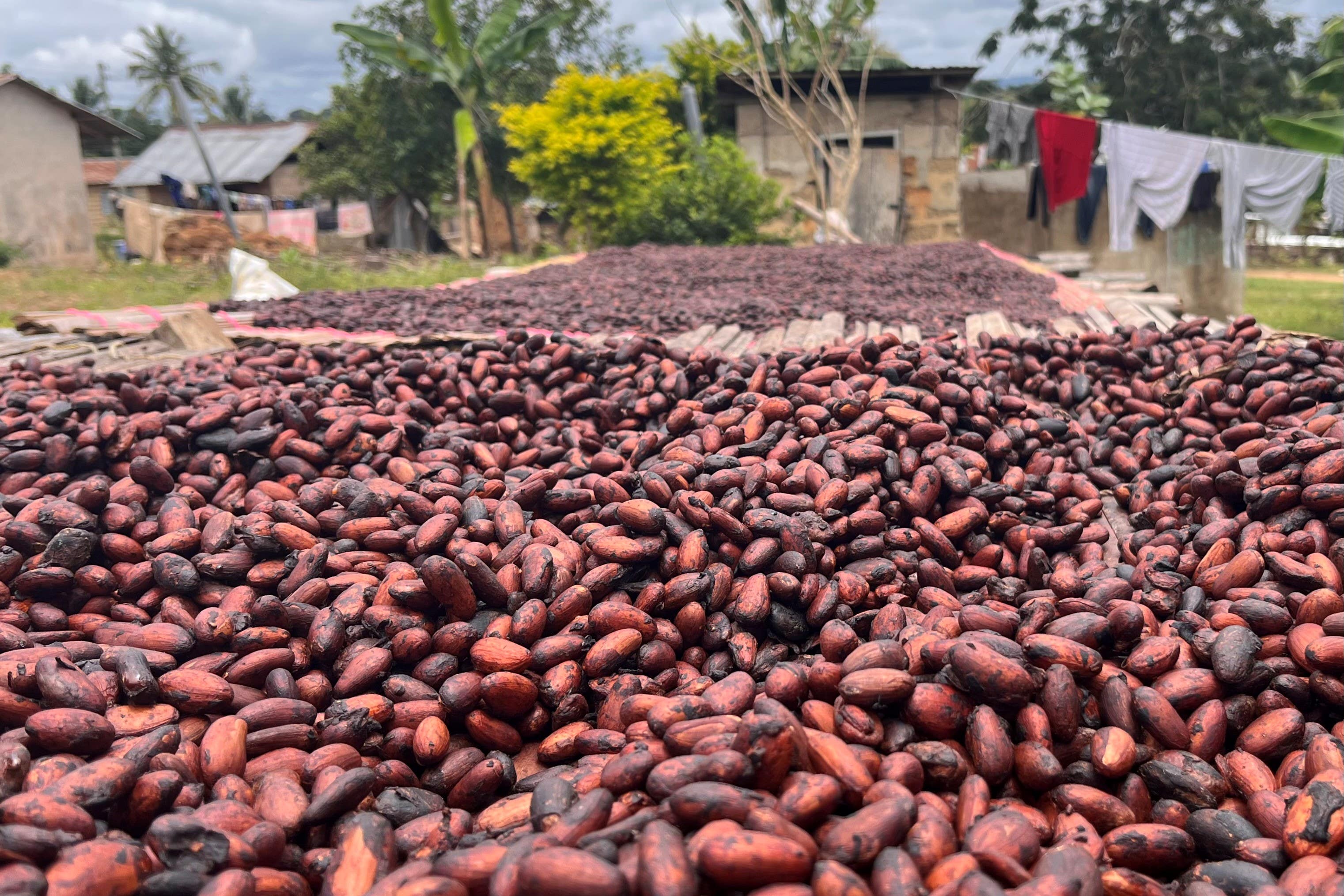 Regions such as West Africa are being hit by climate change (Emily Beament/PA)