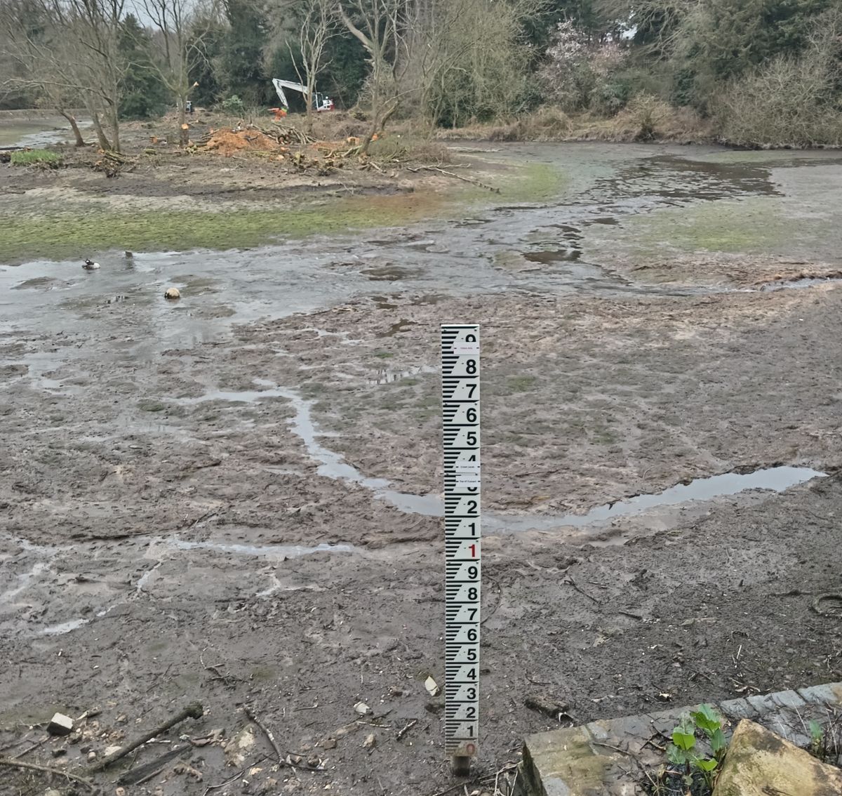 The pond was drained almost two weeks ago
