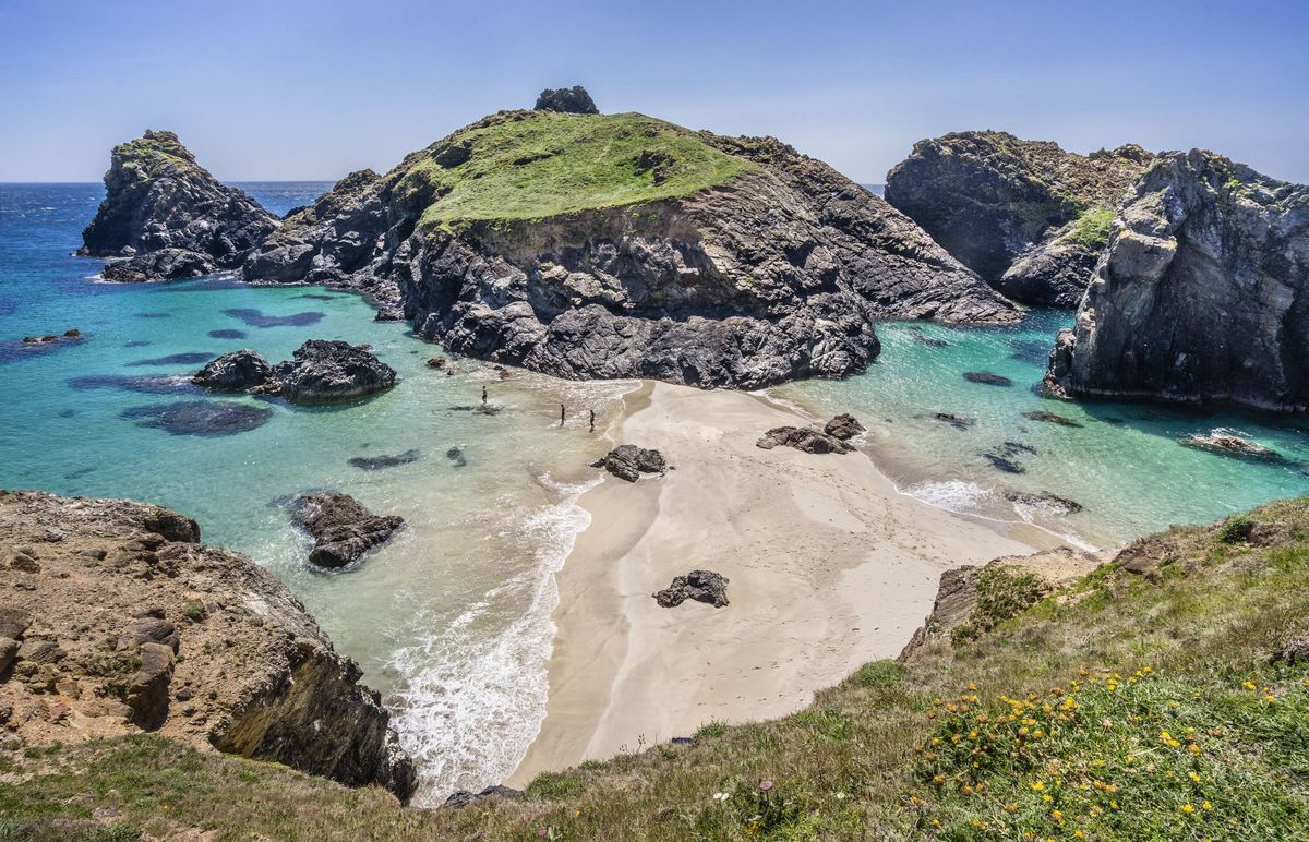 Asparagus Island Kynance Cove