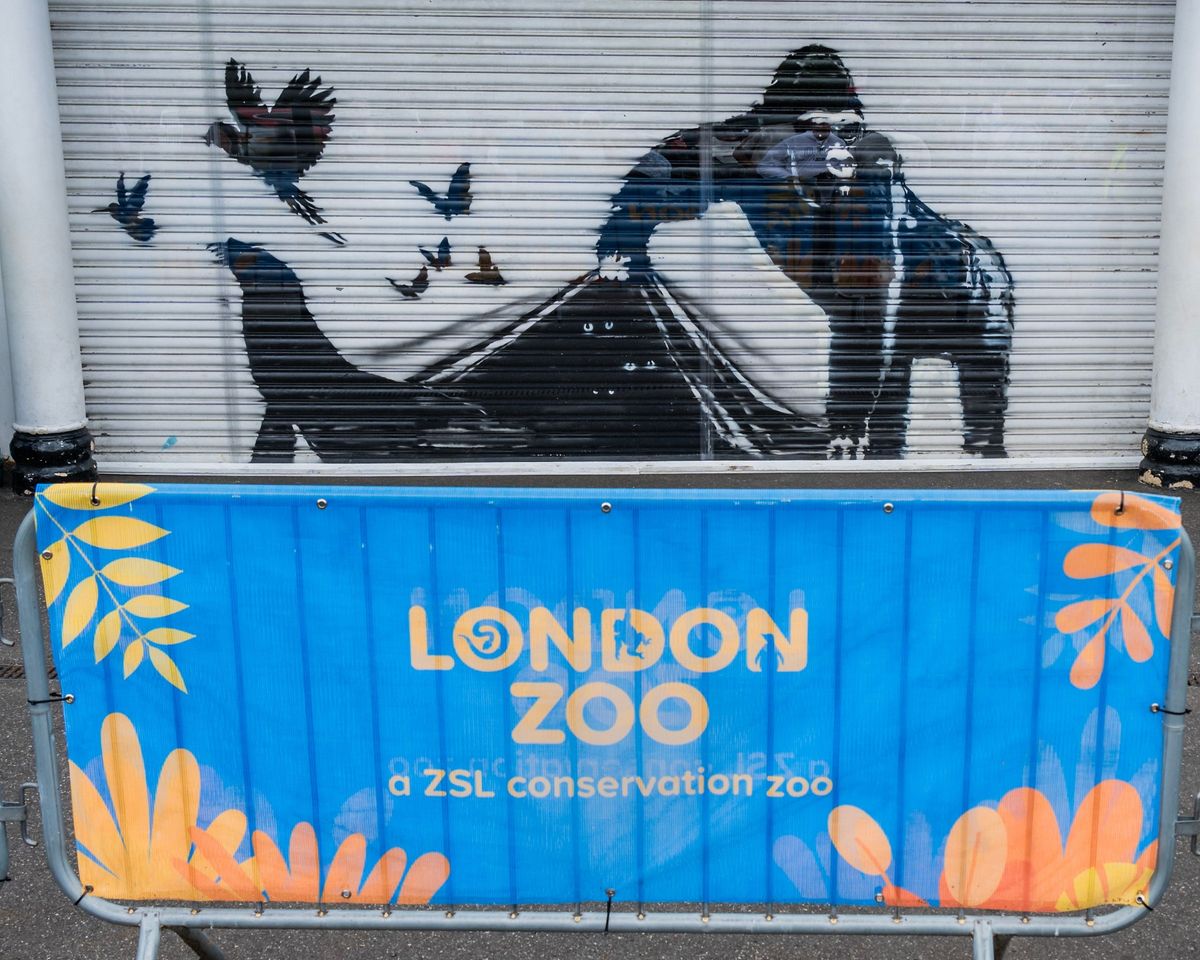 A photo of a Banksy artwork
