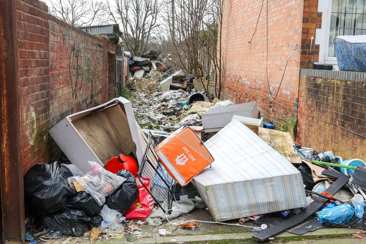 Rats have been seen among the rubbish