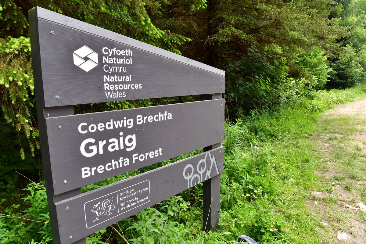 Parts of the forest around Brechfa Forest West Wind Farm are temporarily closed