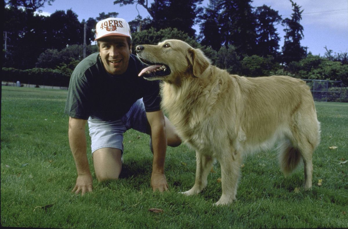 Kevin DiCicco was behind the hugely popular Disney franchise Air Bud