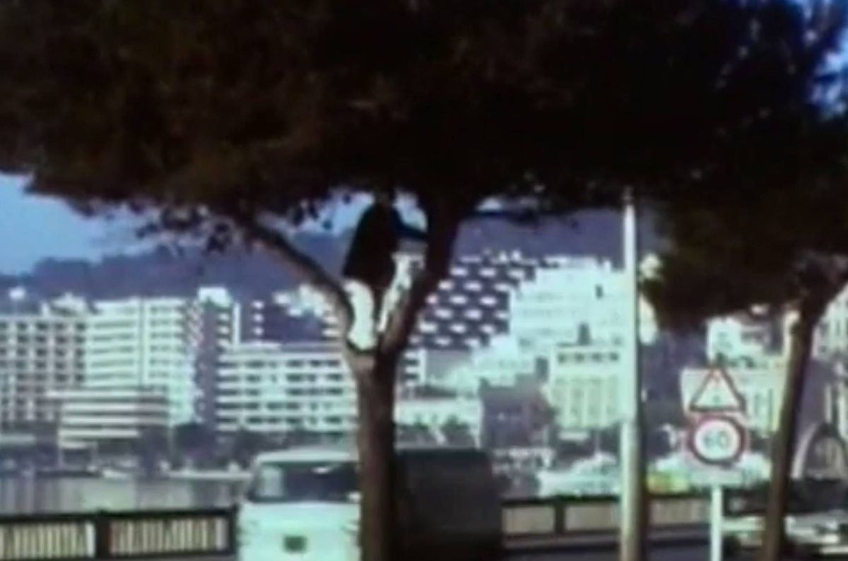 An aerial view of a cityscape showcasing multiple high-rise buildings, with a tree partially obscuring the foreground. In the background, a flag is visible, and a traffic sign can be seen on the right side of the image.