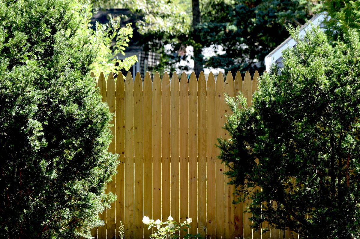 Wooden Fence