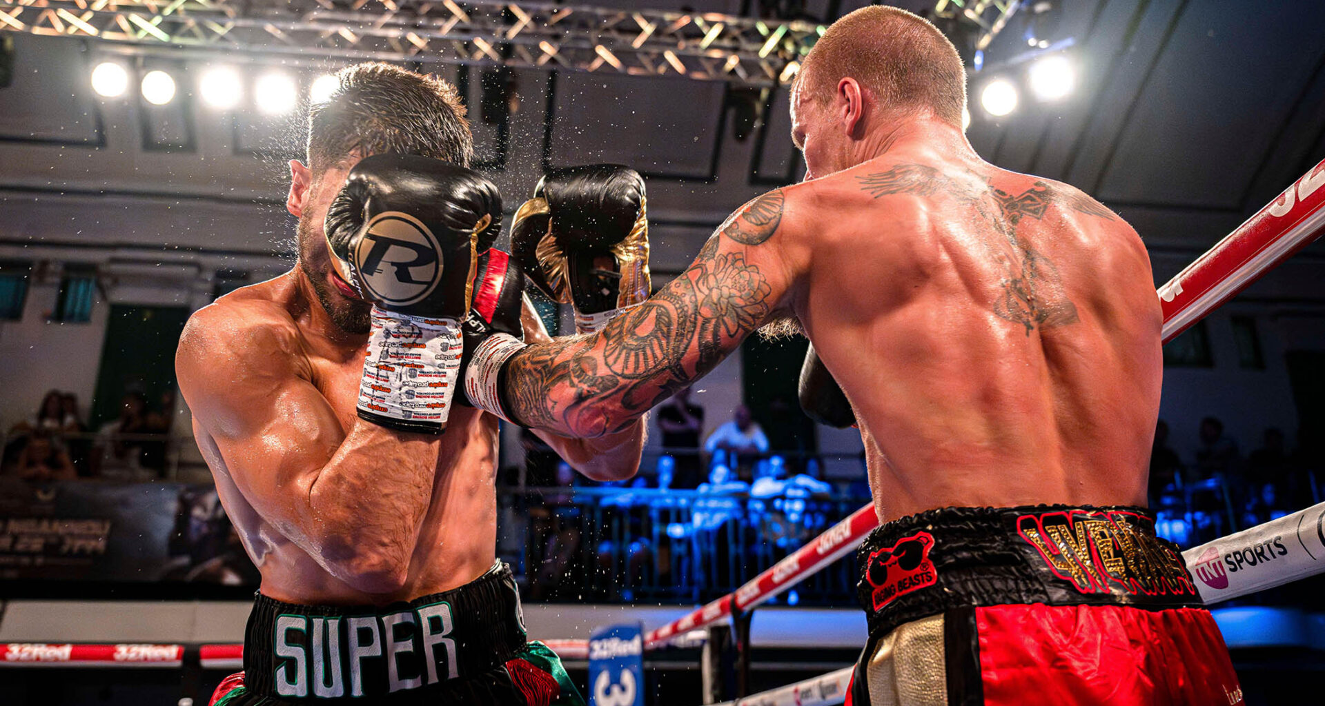 Boxing is like a mating dance between two birds