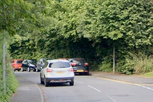 A passing motorist is believed to have intervened after noticing something amiss (Stock photo Cardiff)