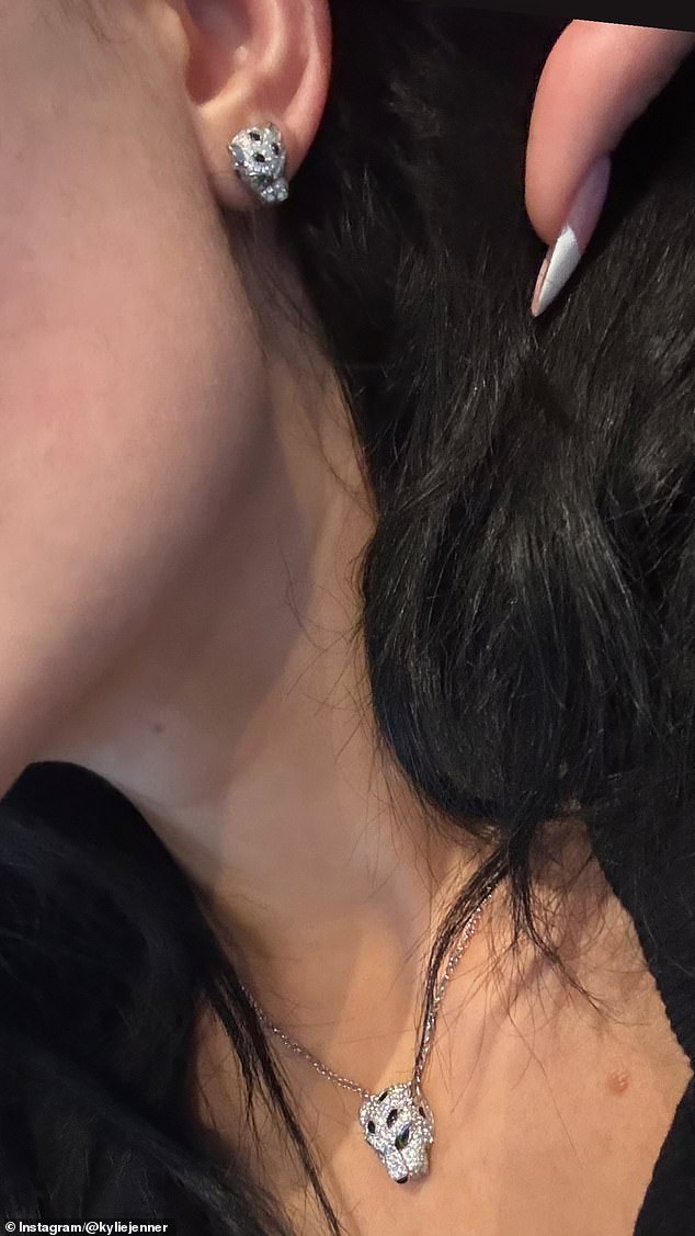 Jenner, 28, happens to own a similar Cartier Panthère necklace and earrings, which many believe were a gift from Chalamet