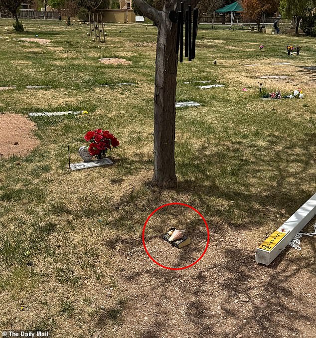 Last year: Daily Mail photos exclusively revealed the plot of land following their burial, with the same conch shell laid beneath the tree, but on top of a paperback book