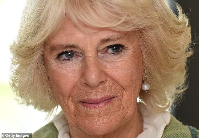 Queen Camilla's eyebrows as they looked before treatment (pictured here in 2019)