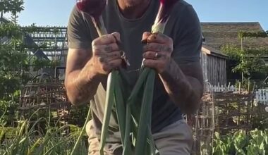 Sir David Beckham has become known for his green fingers ¿ so much so that he will host a garden at this year¿s prestigious Chelsea Flower Show