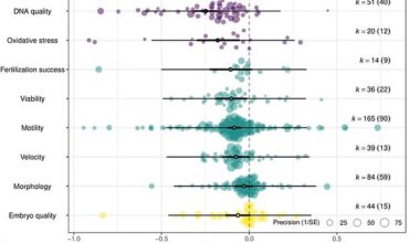 Abstaining from sex or masturbation was associated with increased DNA damage and oxidative stress, as well as reduced sperm mobility and viability, the researchers said