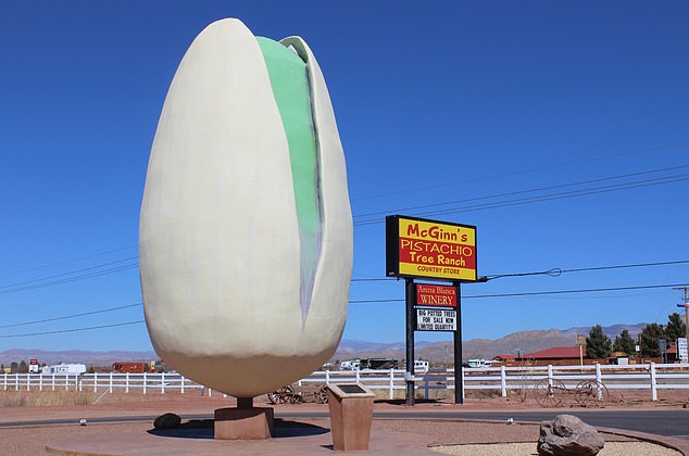 The World's Largest Pistachio monument stands 30 feet tall, by the entrance of McGinn’s pistachio orchard in North Alamogordo, New Mexico