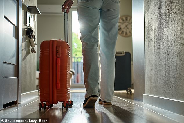I’ve listed my spare room and ensuite on Airbnb, available at an average price of £85 a night. I’ve stayed in so many hotels, I know what works, what doesn’t, writes Liz Jones