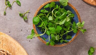 Contrary to popular belief, watercress is a vegetable not a salad