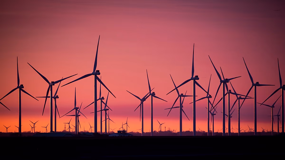 European country vows to give homeowners ‘free electricity' instead of switching off wind turbines