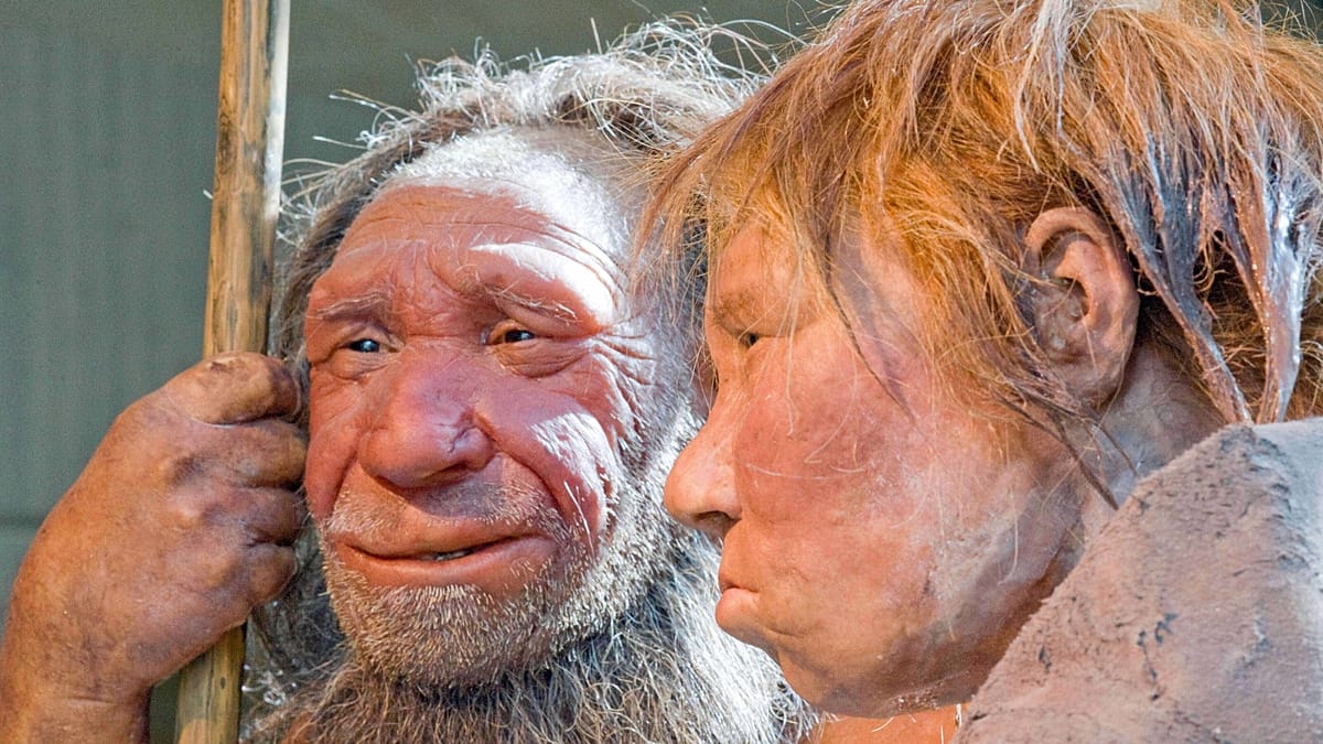 The mating game: New DNA study shows female humans often interbred with Neanderthal males