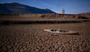 Dangerous droughts triggered by heatwaves are accelerating at an alarming rate, study shows