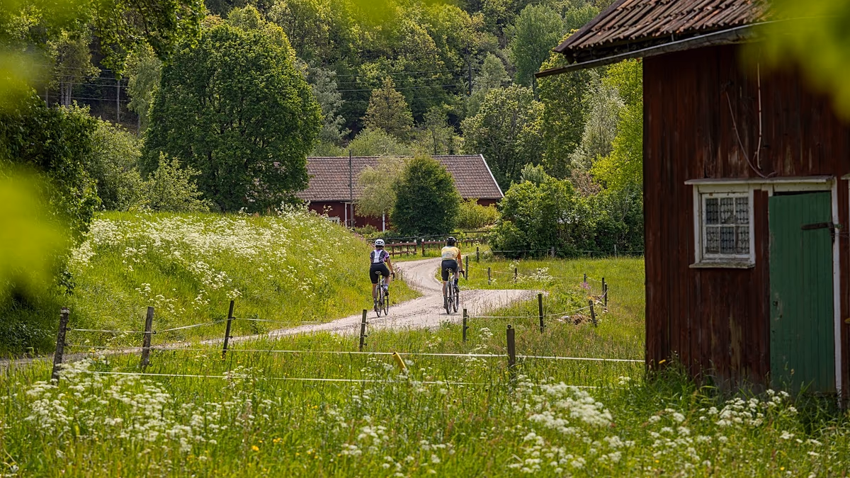 Cycling in Sweden: New 170km route from Gothenburg will open in May