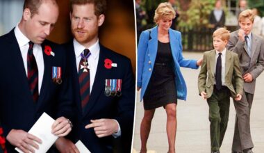Princess Diana was preparing Prince Harry to be king over 'shy' Prince William: royal expert