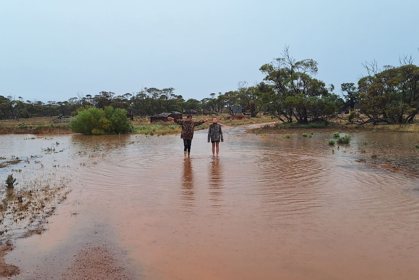 Two teenage boys stand in a huge puddle on a farm.