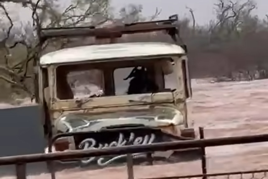 What appears to be a goat seeks shelter in a car while being pummelled with fast moving flood water.