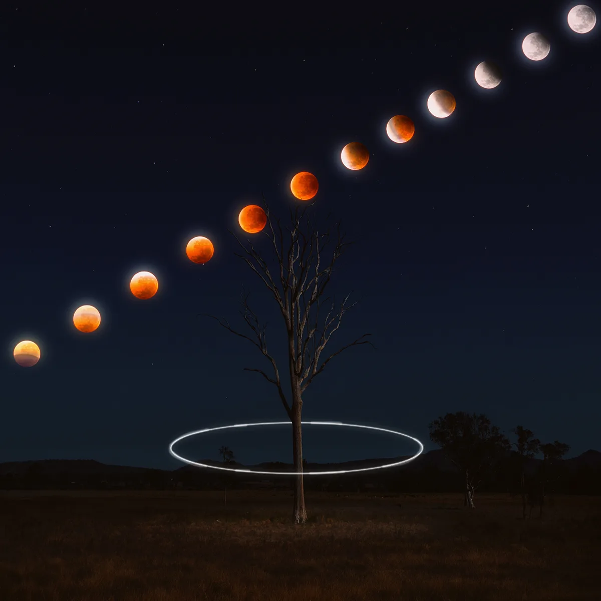 The Moon may already be eclipsed as it rises, depending on where you're viewing from. This image shows the stages of the September 8, 2025 lunar eclipse from Brisbane, Australia. Credit: Taran Sohal
