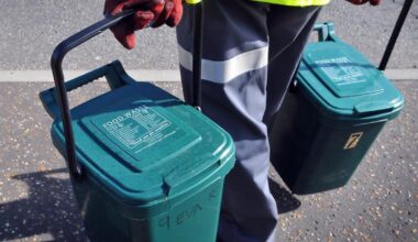 What can you put in your bins ahead of collection changes?